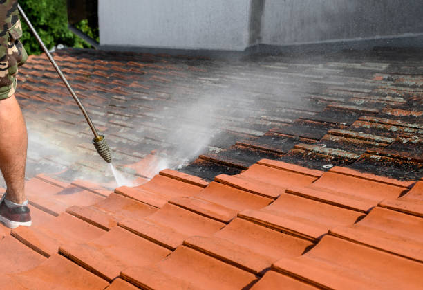 Best Pressure Washing Company Near Me  in Farmington, MN