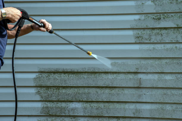 Best Residential Pressure Washing Services  in Farmington, MN