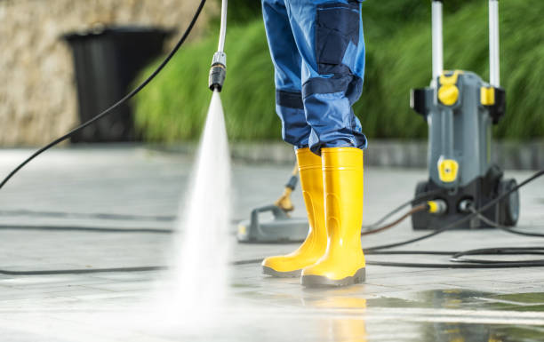 Best Affordable Power Washing  in Farmington, MN