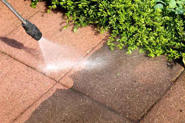 Best Roof Power Washing Services  in Farmington, MN