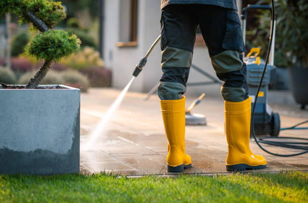 Best Affordable Pressure Washing  in Farmington, MN